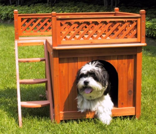 Casa da laje - Perfeita para cães que adoram tomar um sol no telhado.